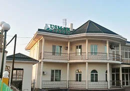 Усман Сарыағаш шипажайы